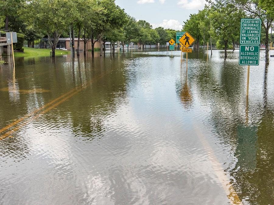 TX Flooding Delve