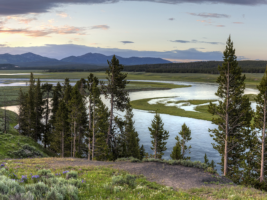 Water Quality Month