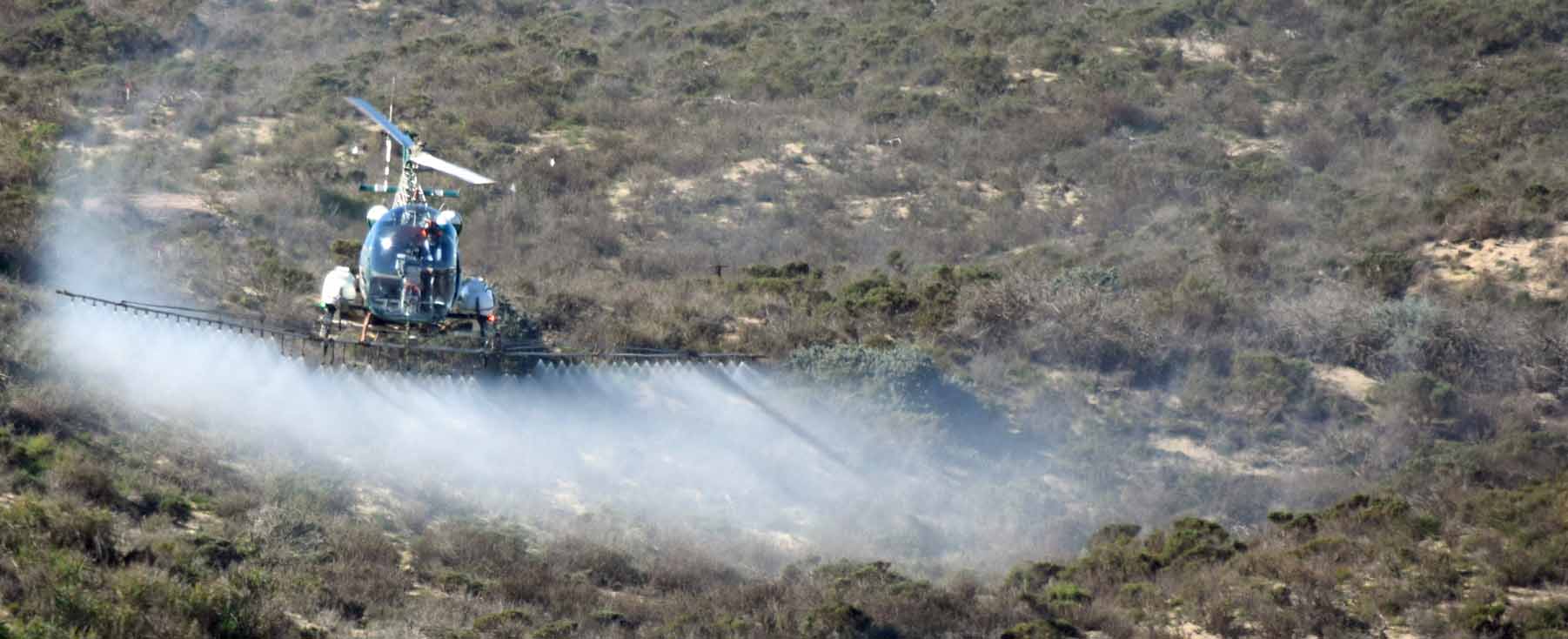 herbicide being applied to veldt grass via helicopter