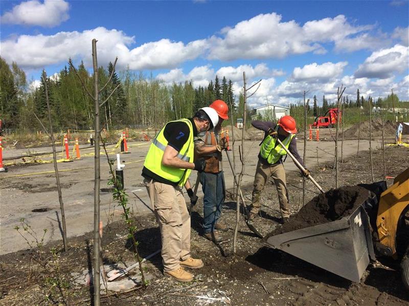 Environmental professionals planting trees at a remediation site