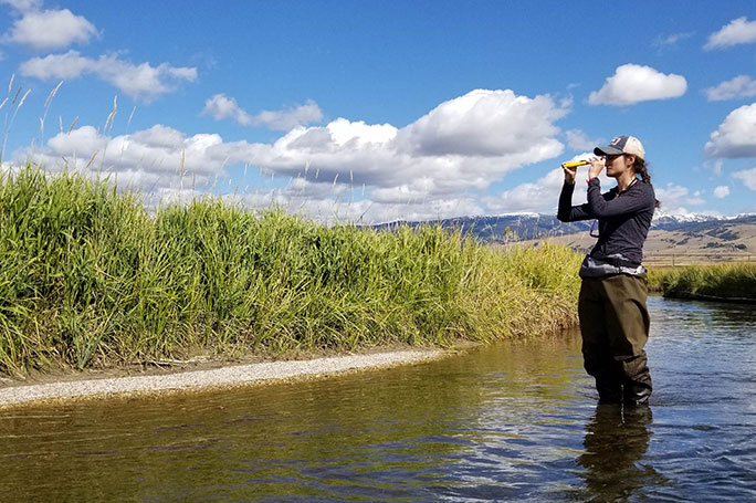 Stream Restoration and Stabilization