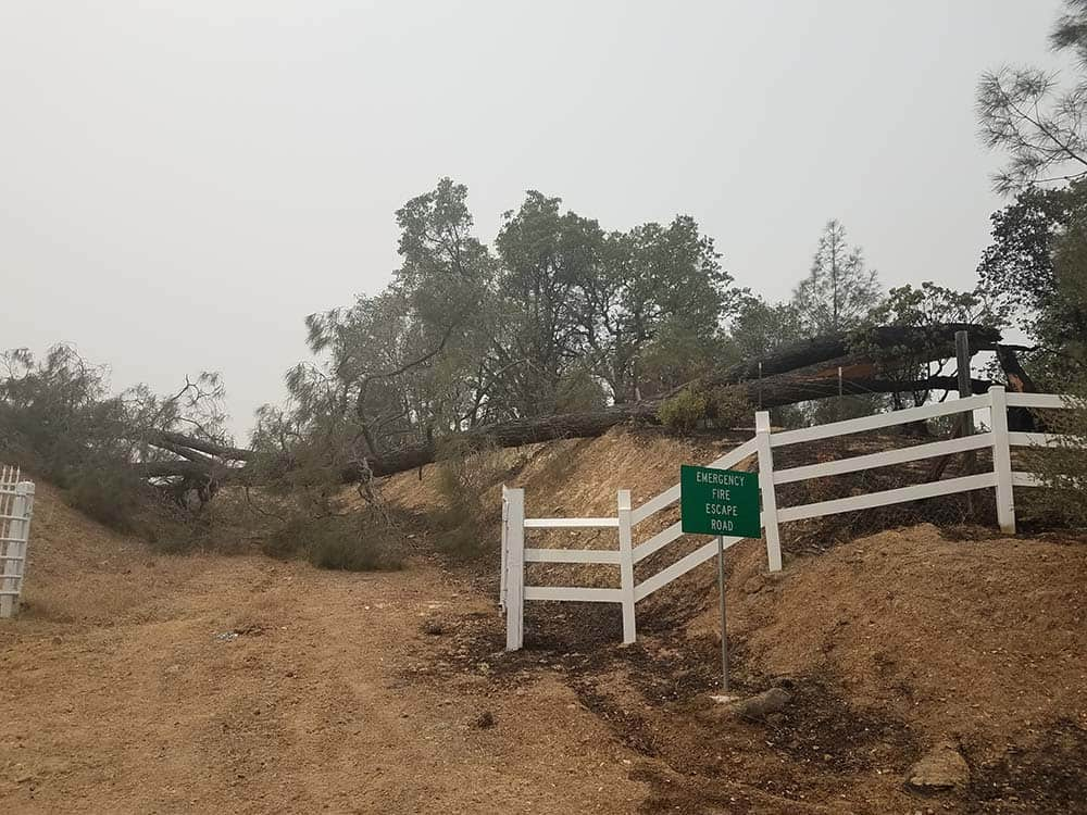 neighborhood destroyed after wildfire