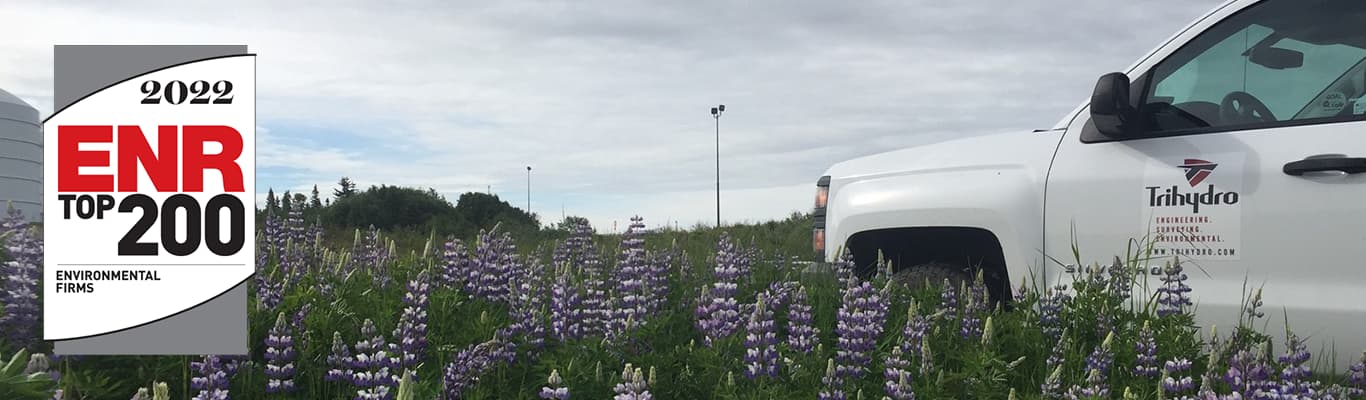White Trihydro truck in lupine field