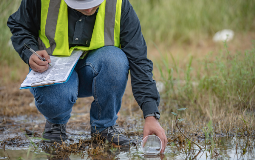 Oklahoma DEQ Aims to Require Biotic Ligand Model, Fish Tissue Studies to Develop Copper and Selenium Water Quality Criteria Thumbnail