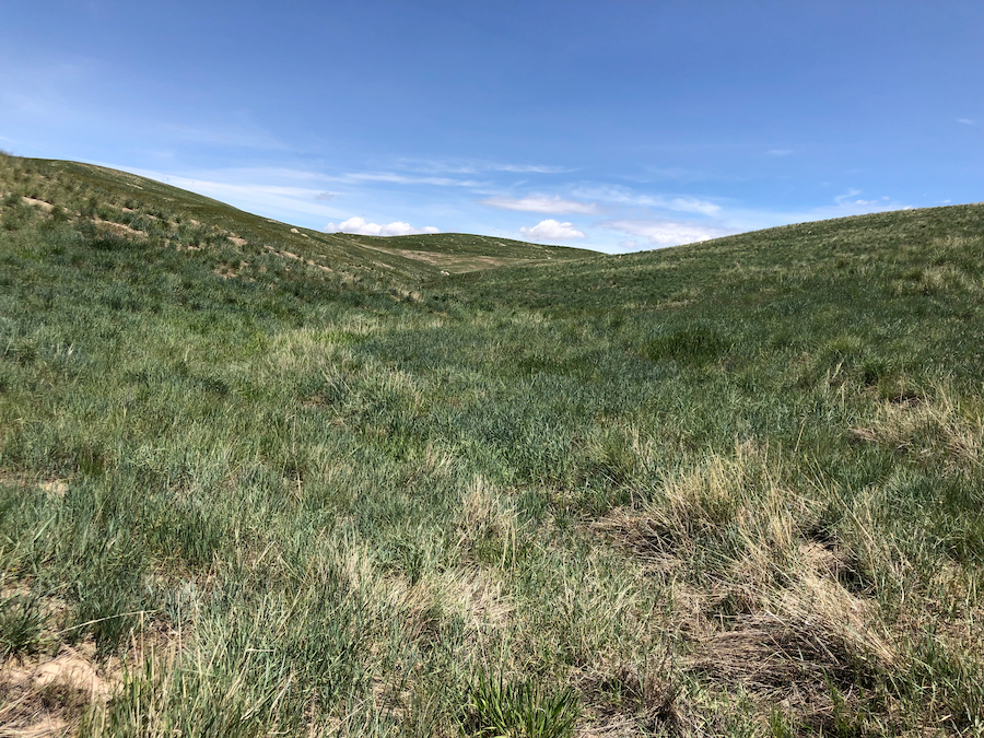 mine reclamation site in wyoming