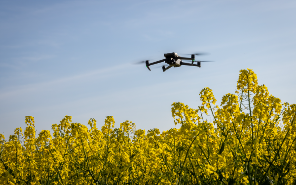 Using Multispectral Data to Monitor Vegetation Stress at Carbon Capture and Sequestration (CCS) Sites Thumbnail