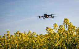 Using Multispectral Data to Monitor Vegetation Stress at Carbon Capture and Sequestration (CCS) Sites Thumbnail