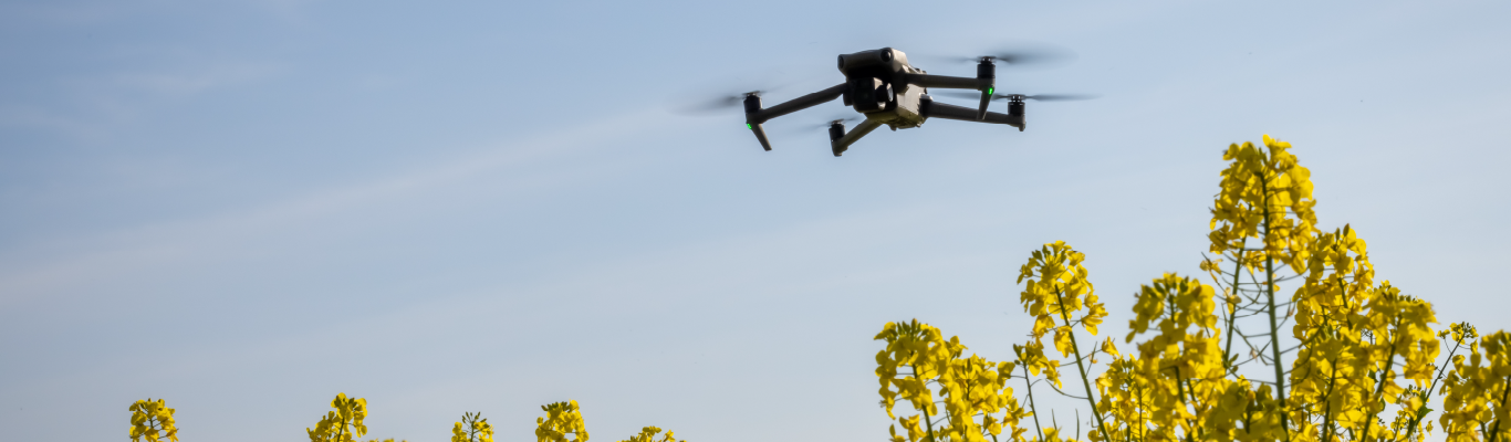 Using Multispectral Data to Monitor Vegetation Stress at Carbon Capture and Sequestration (CCS) Sites