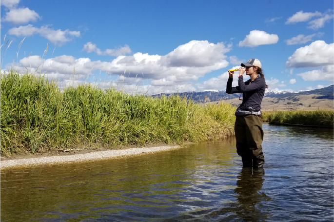Env Assessment & Regulatory Review