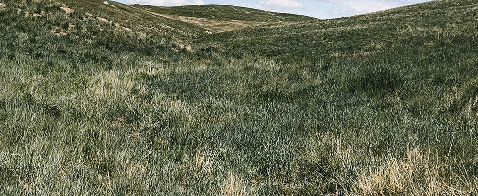 6 Tips for Achieving Final Reclamation Bond Release