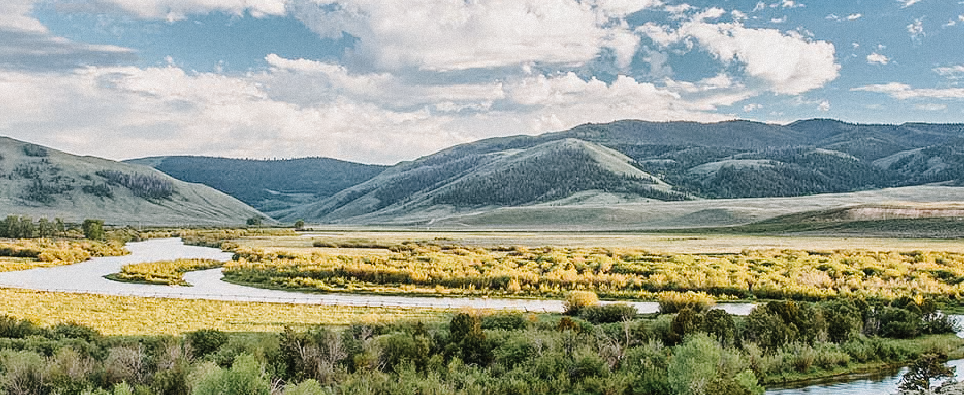 Colorado PFAS Policy 20-1: Reporting Requirements in Water Discharge Permits