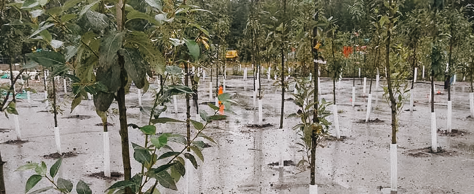 How Sustainability Assessments Create Win-Win Scenarios in Site Remediation