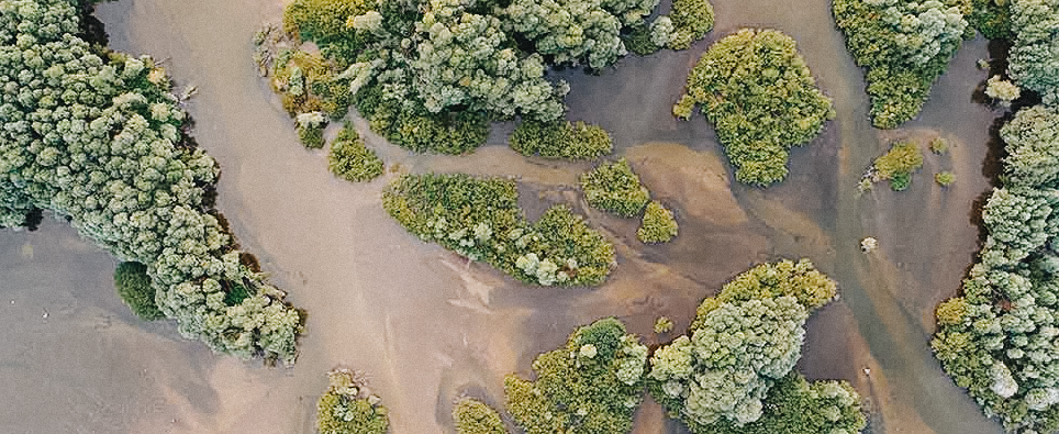 WOTUS Update: EPA Removes Federal Protections for Many Wetlands