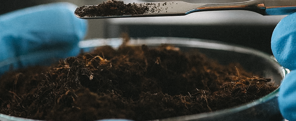 EPA Releases New Residential Lead Policy Guidance