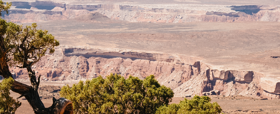 US Supreme Court Ruling Narrows NEPA’s Scope