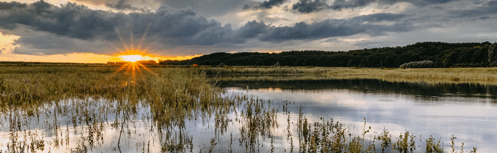 Environmental Planning