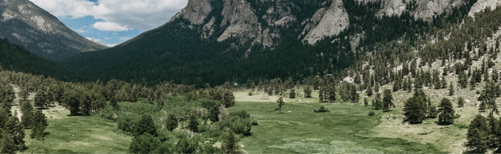 Colorado Black Canyon Creek Restoration Project Hero
