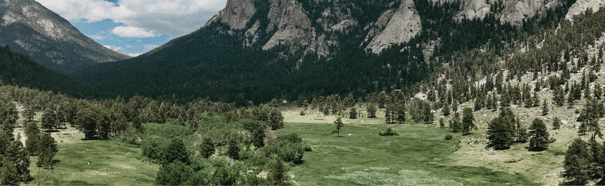 Colorado Black Canyon Creek Restoration Project Hero