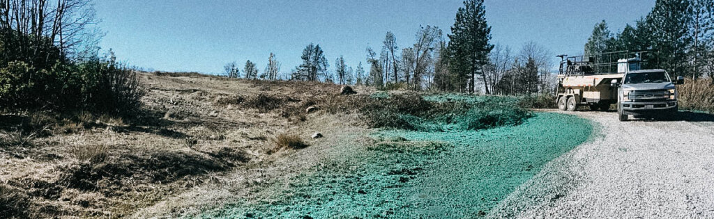 California Dixie Fire Wildfire Restoration