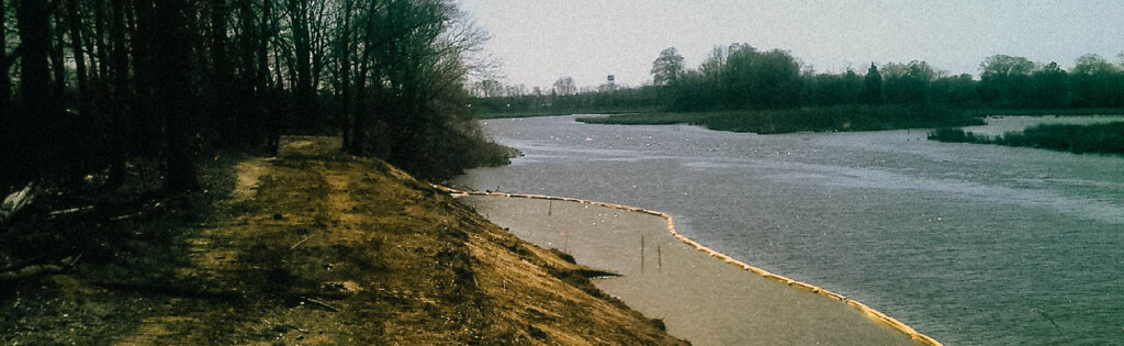 St. Jones Riverbank Restoration and Stabilization Hero