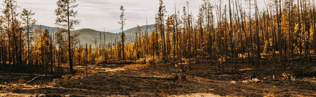 Power Fire Nexus Fuel Reduction and Grant Funding