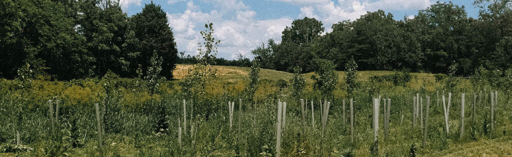 Former Solvent Recycling Facility Remediation Plan Hero