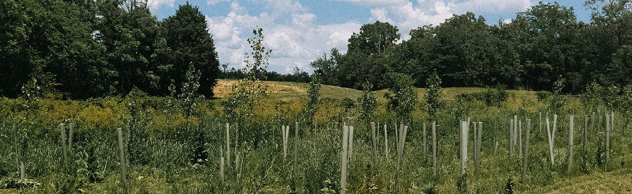 Former Solvent Recycling Facility Remediation Plan Hero