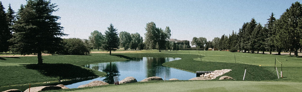 Stormwater Control System and Irrigation Reservoir Design