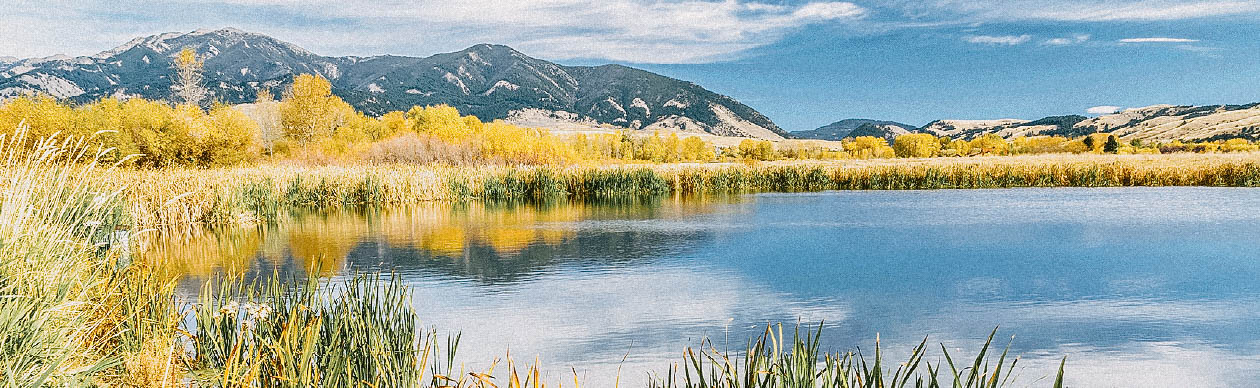 Warm Springs Ponds Technical Support Hero