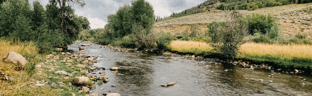 Reservoir Environmental Impact Study