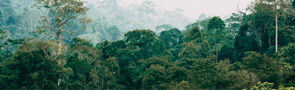 Diesel-Fired Power Plant Remediation Hero