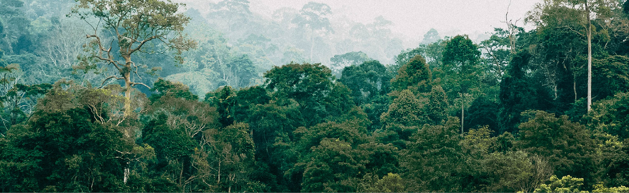 Diesel-Fired Power Plant Remediation Hero