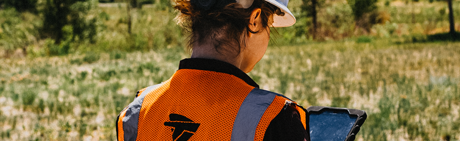 Technology Consulting