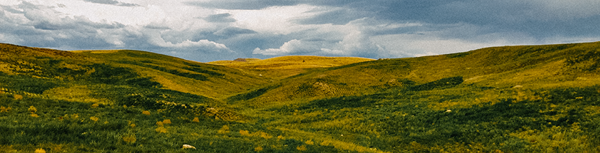 Abandoned Mine Lands (AML) Reclamation