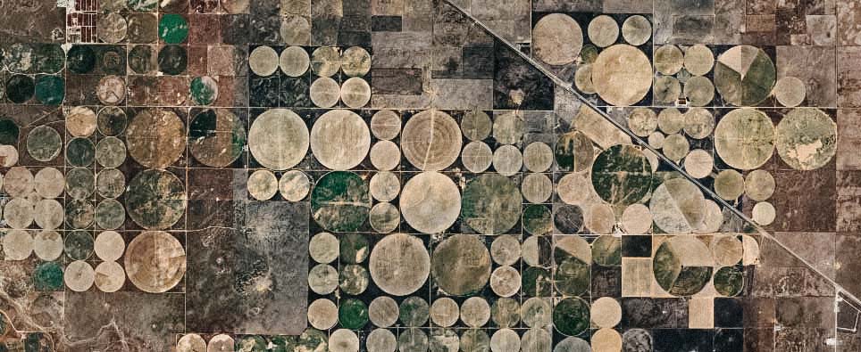Using Multispectral Data to Monitor Vegetation Stress at Carbon Capture and Sequestration (CCS) Sites