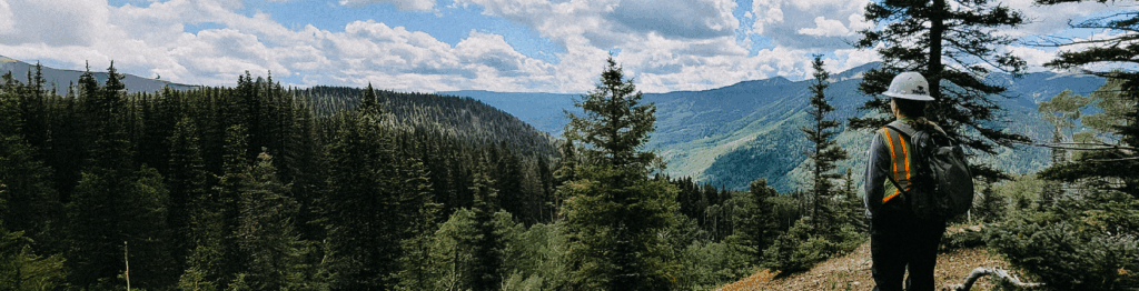 Forest Health Sustainability and Resilience
