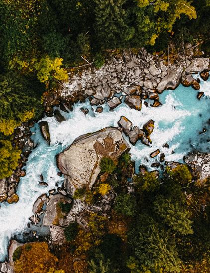 Natural Resources Sector