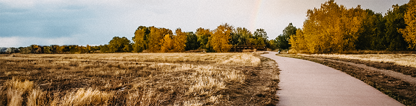 Pedestrian and Cyclist Networks