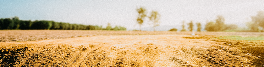 Property Transaction Support