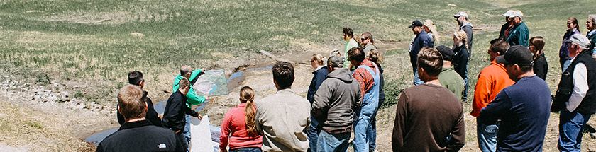 Stakeholder Engagement