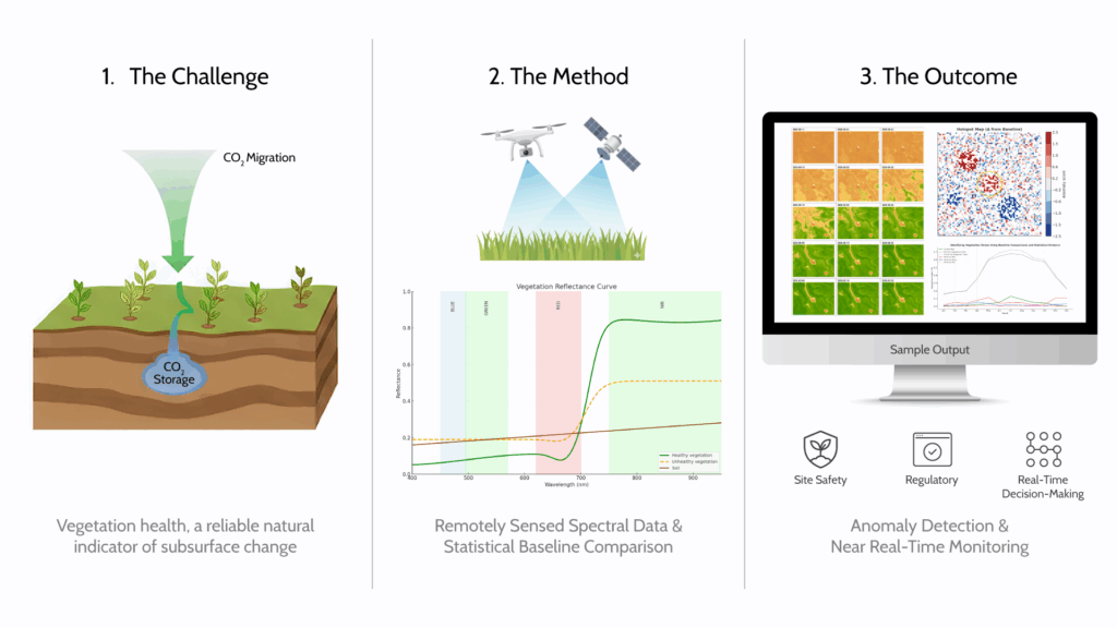 Monitoring vegetation health through multispectral data
