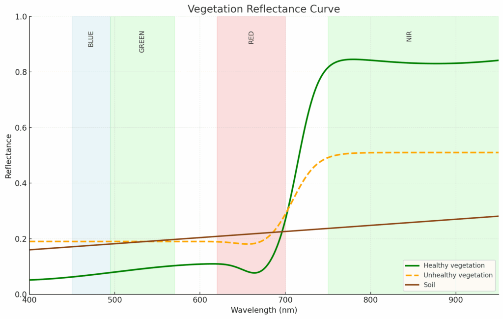The reflective behavior of healthy versus unhealthy vegetation.