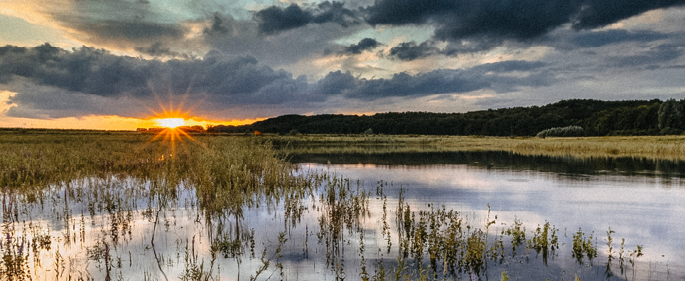 Environmental Planning