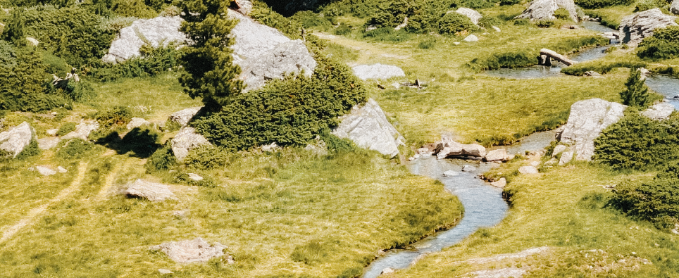 Delivering integrated, science-based natural resource solutions that help clients address water scarcity, ecosystem recovery, and long-term resilience through collaborative, field-tested expertise.