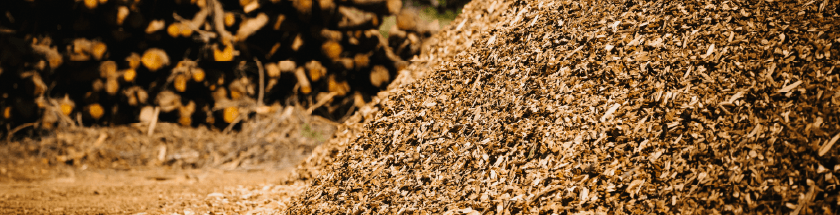 Image of Biomass