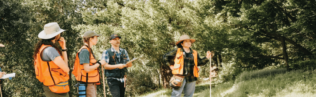 Spruce Bark Beetle Forest Management and Wildfire Mitigation Project Hero