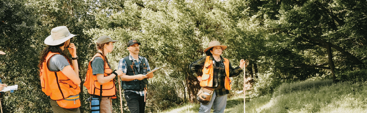 Spruce Bark Beetle Forest Management and Wildfire Mitigation Project Hero