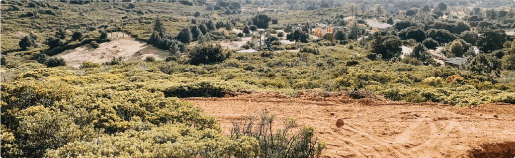 Whispering Winds Forest Health & Wildfire Resilience Hero Image