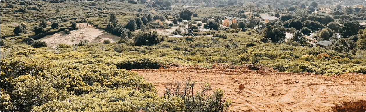 Whispering Winds Forest Health & Wildfire Resilience Hero Image