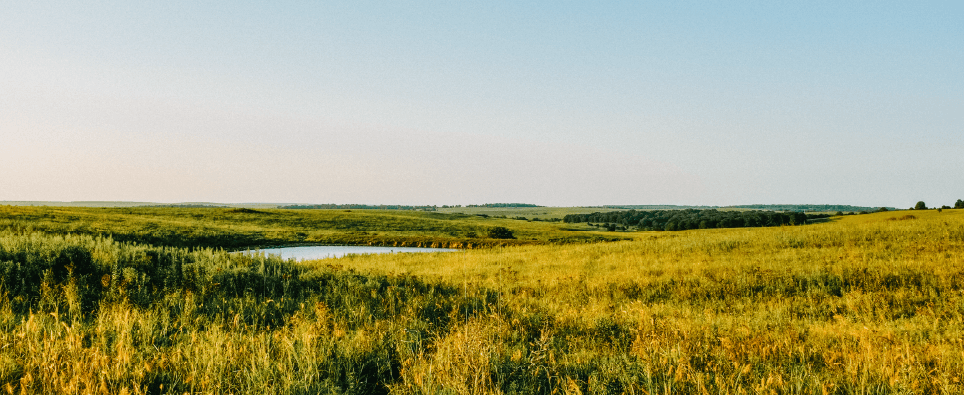 Oklahoma Wetland Program Plan 2027-2032: Key Priorities for Wetland Management Hero